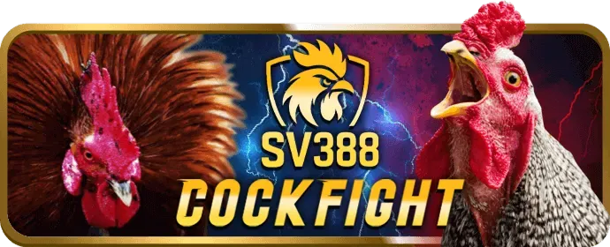 Tài khoản sanvip apk bị khóa